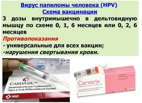 Прививка от папилломавируса (ВПЧ). До какого возраста женщинам, девочкам, мужчинам, мальчикам, как делается