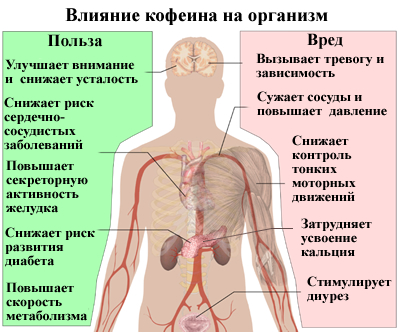 Теопэк (Теопек). Инструкция по применению, цена, аналоги, отзывы