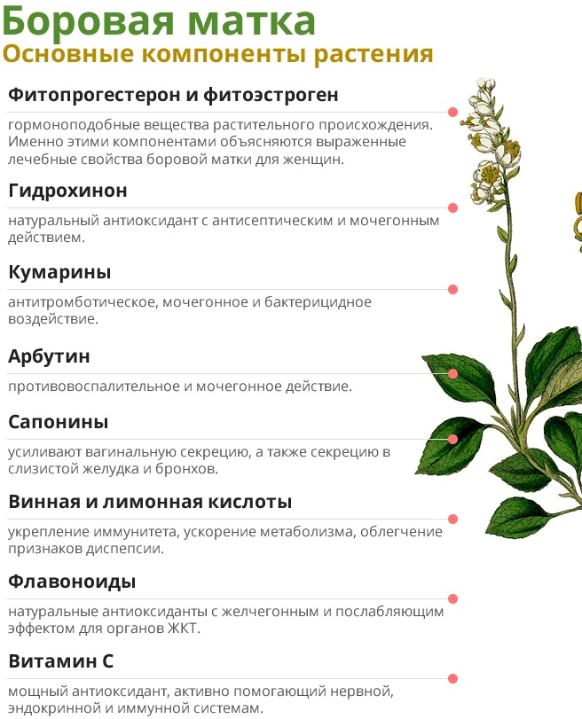 Ранний климакс у женщин 30-40 лет. Симптомы и лечение, как предотвратить