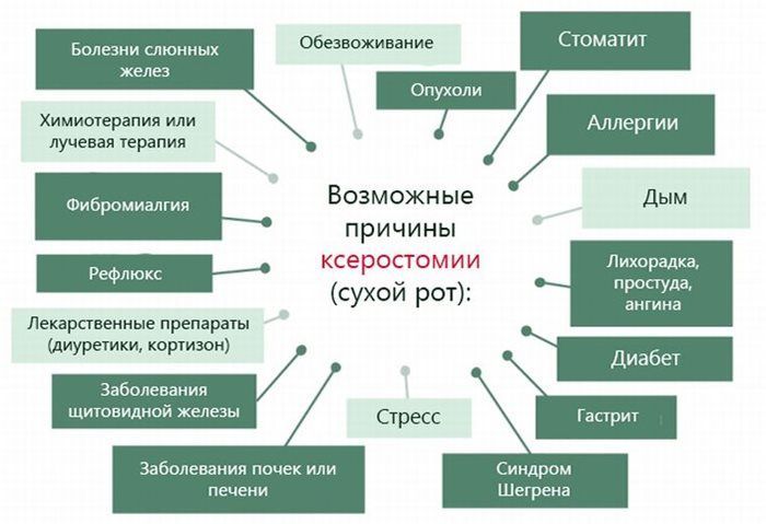 Сильная сухость во рту. Причины ночью, по утрам, болезни и лечение