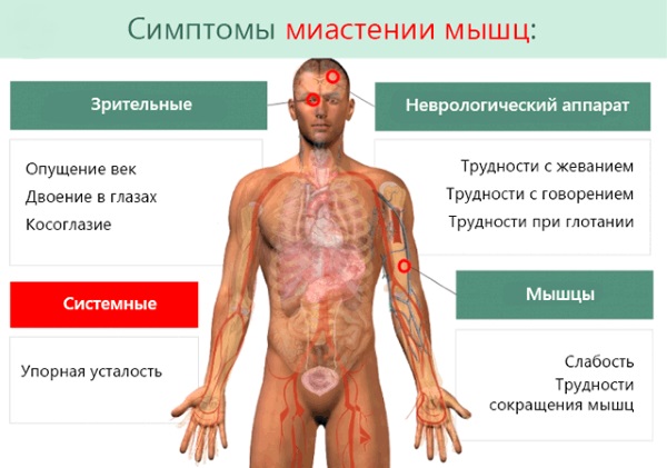 Слабость в организме. Причины у женщин 30-50 лет, симптомы болезней, почему упадок сил, хочется спать. Что делать