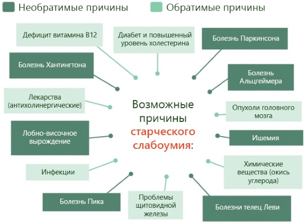 Деменция у женщин пожилого возраста. Симптомы и лечение