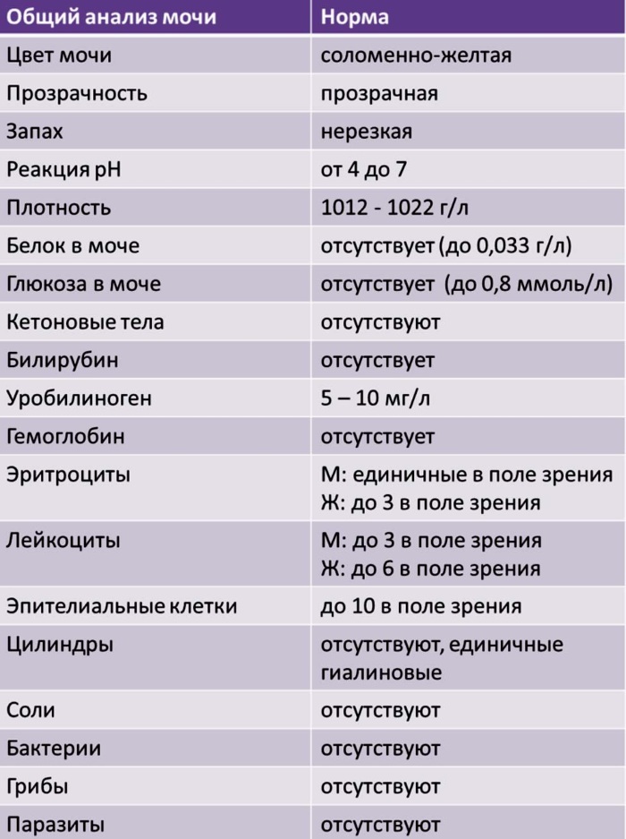 Суточный объем мочи норма у взрослых 32