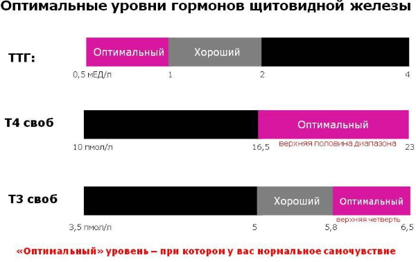 Гормон Т4 свободный тироксин. Норма, что значит понижен, повышен у женщин, мужчин, ребенка