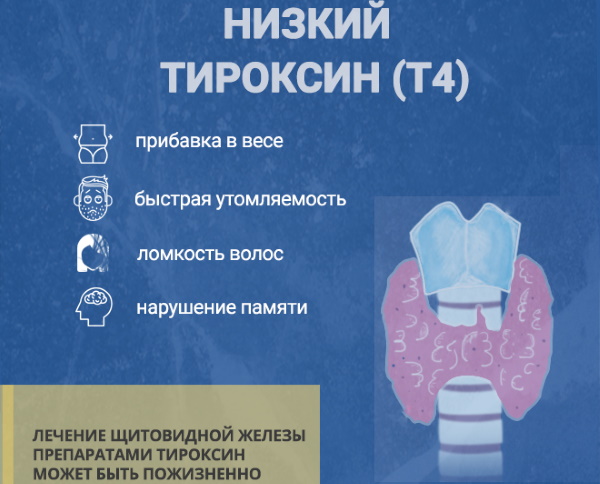 Гормон Т4 свободный тироксин. Норма, что значит понижен, повышен у женщин, мужчин, ребенка