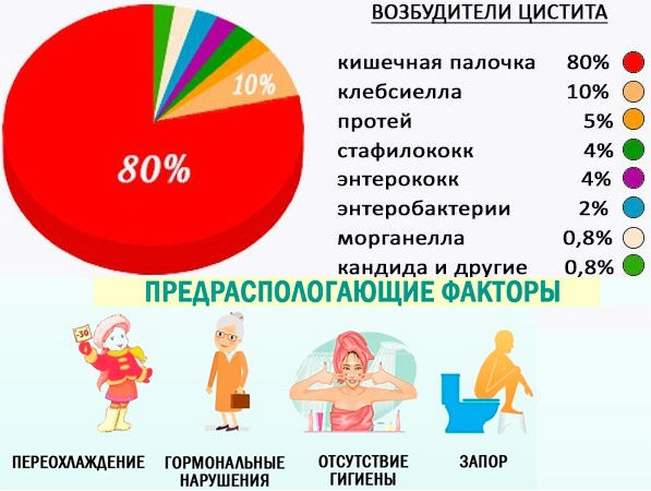 Цистит у женщин. Симптомы и лечение народными средствами, таблетки, антибиотики