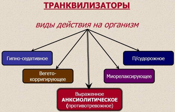 Успокоительные средства без рецептов без сонливости, улучшающие настроение, быстрого действия