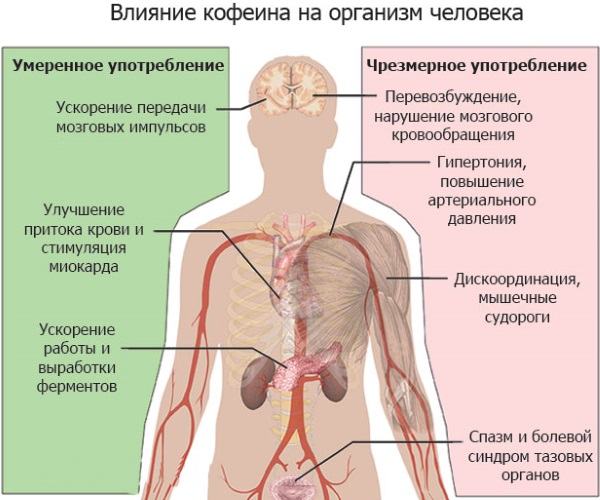 Успокоительные средства без рецептов без сонливости, улучшающие настроение, быстрого действия