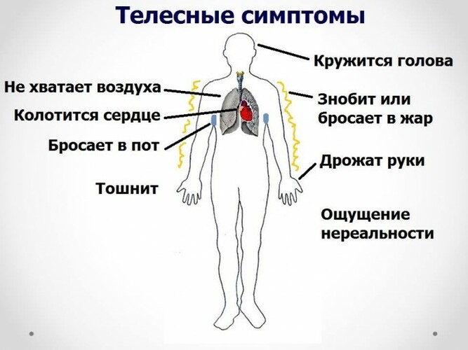 Вегето сосудистая дистония у детей презентация