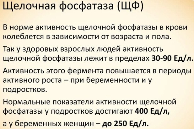 Фосфатаза щелочная в анализе крови. Что это такое, что значит повышена, что делать