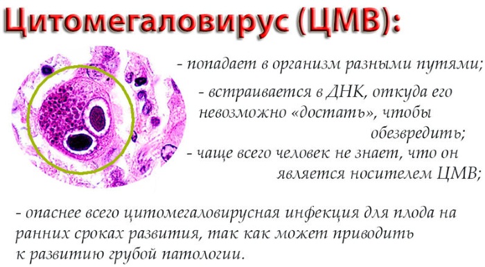 Фосфатаза щелочная в анализе крови. Что это такое, что значит повышена, что делать