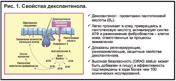 Корнерегель для глаз. Инструкция по применению, цена, аналоги, отзывы