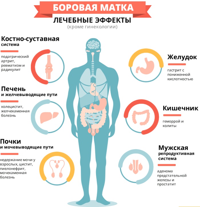 Почему месячные пришли раньше срока на 5-7-10 дней, 2-3 недели. Причины