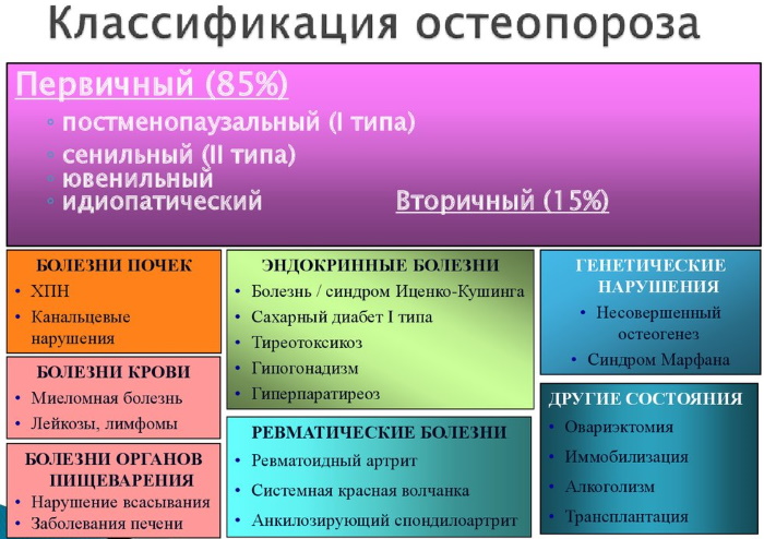 Остеопороз у женщин. Причины возникновения, симптомы и лечение