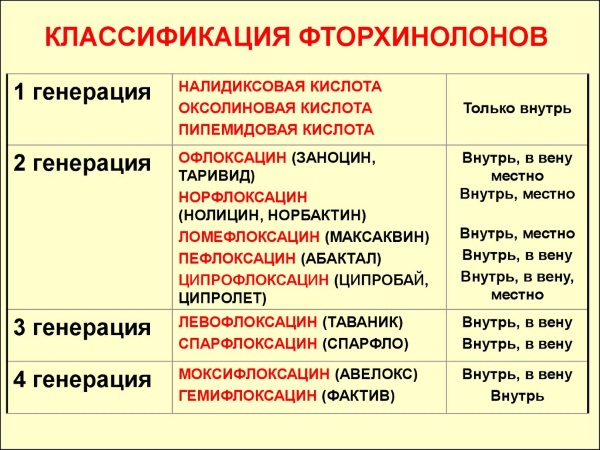 Почки у человека: расположение, где находятся, строение, функции, как работают, болезни