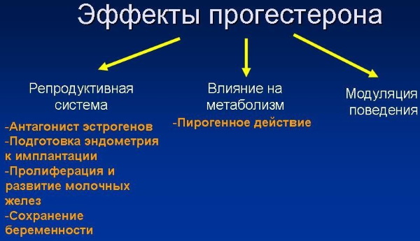 Прогестерон повышен у женщин. Причины, симптомы, последствия, что делать