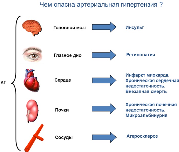 Вариабельность пульса какая норма должна быть для айфона