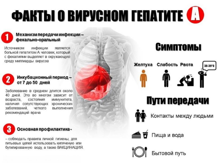 Заболевания печени у женщин. Причины, симптомы и лечение