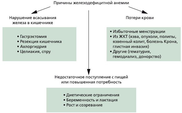 Железодефицитная анемия. Симптомы у женщин, причины, лечение при беременности, в пожилом возрасте