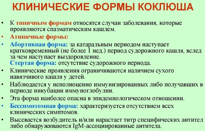 Коклюш. Симптомы и лечение у взрослого, заразность, инкубационный период