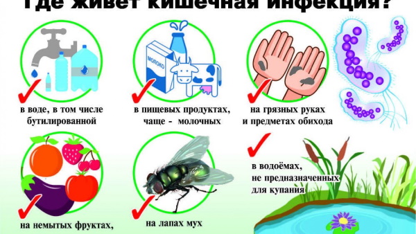 Лекарства от кишечной инфекции, при отравлении. Список лучших, как принимать