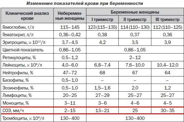 Общий анализ крови. Норма ОАК у женщин, беременных по возрасту, расшифровка