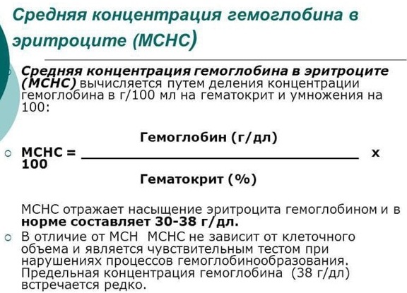 Общий анализ крови. Норма ОАК у женщин, беременных по возрасту, расшифровка