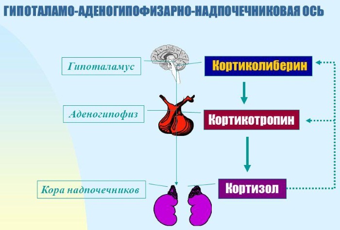 Пограничные расстройства личности. Что это такое, виды, как выявить, тесты, лечение