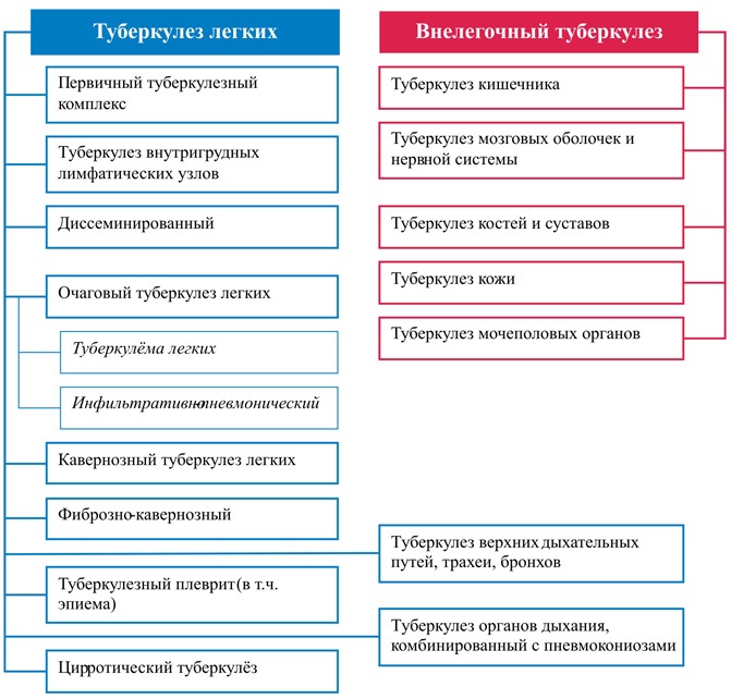 Туберкулез у ребенка. Симптомы, как передается, лечение