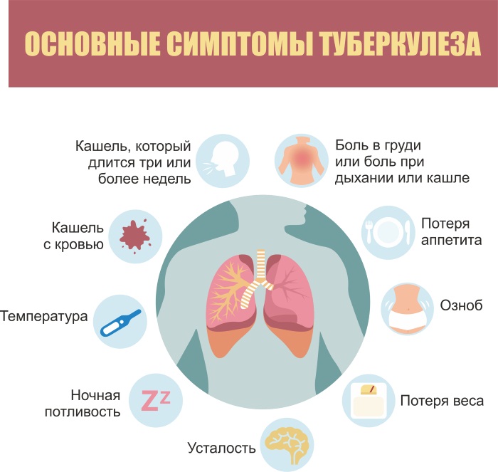 Туберкулез у ребенка. Симптомы, как передается, лечение