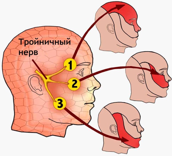 Защемление шейного нерва. Симптомы и лечение, оздоровительные упражнения