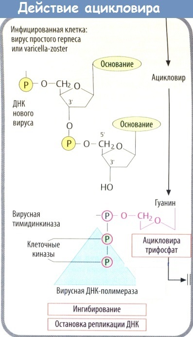 Ацикловир таблетки. Инструкция по применению, цена, аналоги