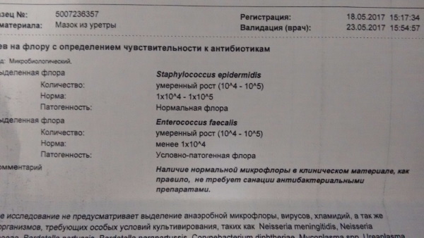 Enterococcus faecalis (энтерококк фекальный) в посеве на флору. Норма у женщин, мужчин. Лечение