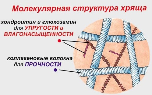 Хондропротекторы для суставов. Список препаратов нового поколения. Самые эффективные при остеохондрозе позвоночника, артрозе