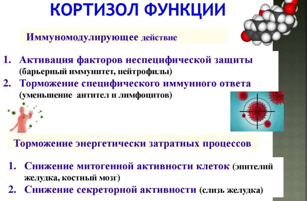 Как понизить кортизол у женщин. Препараты, народные средства без таблеток, список, названия, цены