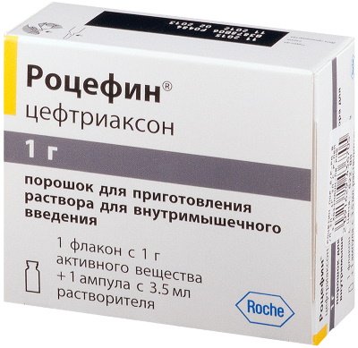 Как разводить Цефтриаксон Лидокаином (Новокаином), водой для внутримышечного введения инъекций. Инструкция по применению