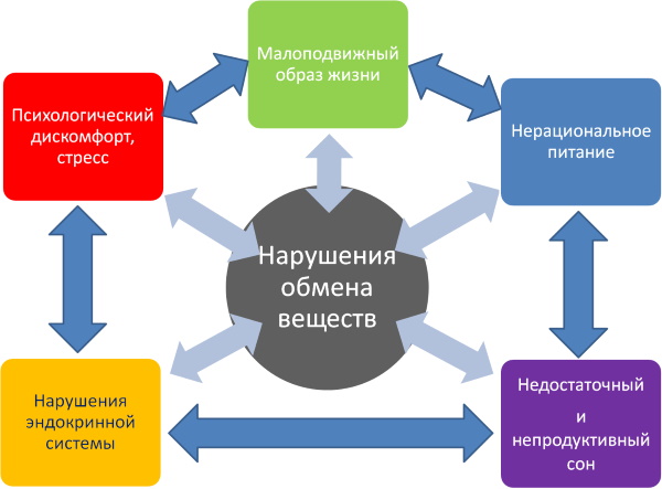 Препараты ускоряющие обмен веществ. Таблетки, ускоряющие метаболизм: виды