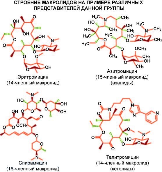Антибиотики макролиды. Список препаратов для детей, взрослых, беременных