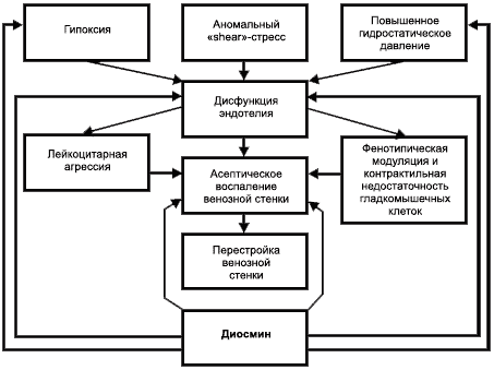 Flebodia (Флебодиа) при варикозе ног при беременности. Инструкция, отзывы, цена