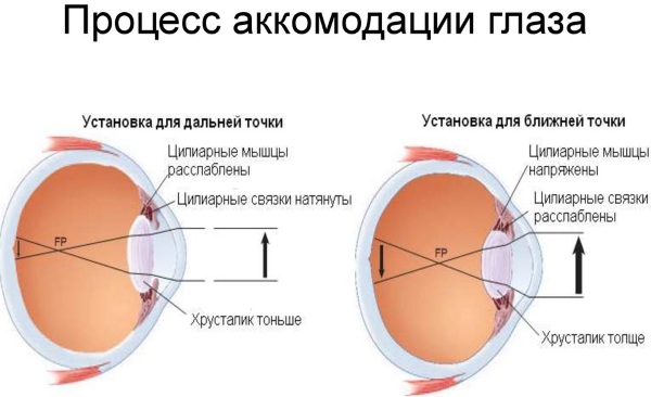 Гимнастика по Аветисову для глаз, комплексы для детей, взрослых