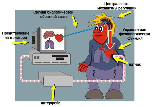 Головная боль напряжения. Причины, симптомы, лечение, как избавиться