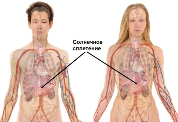 Что находится на солнечном сплетении человека