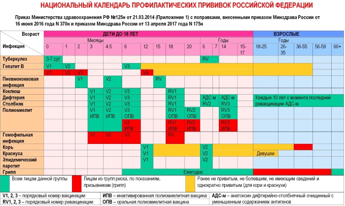 Столбняк. Симптомы у взрослых, возбудитель болезни, лечение, последствия