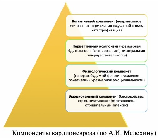 Кардионевроз. Симптомы и лечение, что это, препараты, народные средства