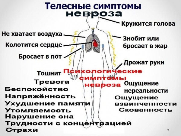 Кардионевроз. Симптомы и лечение, что это, препараты, народные средства