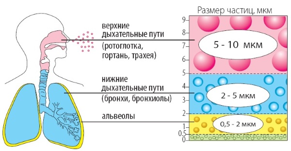 Ингаляции при бронхите у взрослых. Народные средства