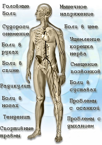 Мануальный терапевт. Что лечит у взрослых, детей, что делает