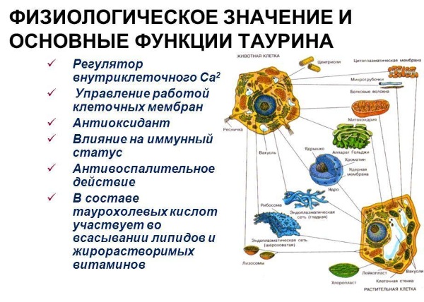 Офтан Катахром (Oftan Catachrom) или Тауфон (Taufonum). Что лучше, совместимость