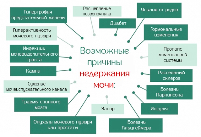 При чихании выделяется моча. Что делать, причины, лечение у женщин, мужчин, к какому врачу обратиться