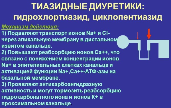 Тиазидные диуретики. Список препаратов, что это такое, механизм действия, противопоказания, побочные эффекты